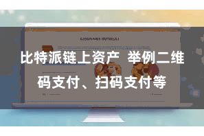 比特派链上资产  举例二维码支付、扫码支付等