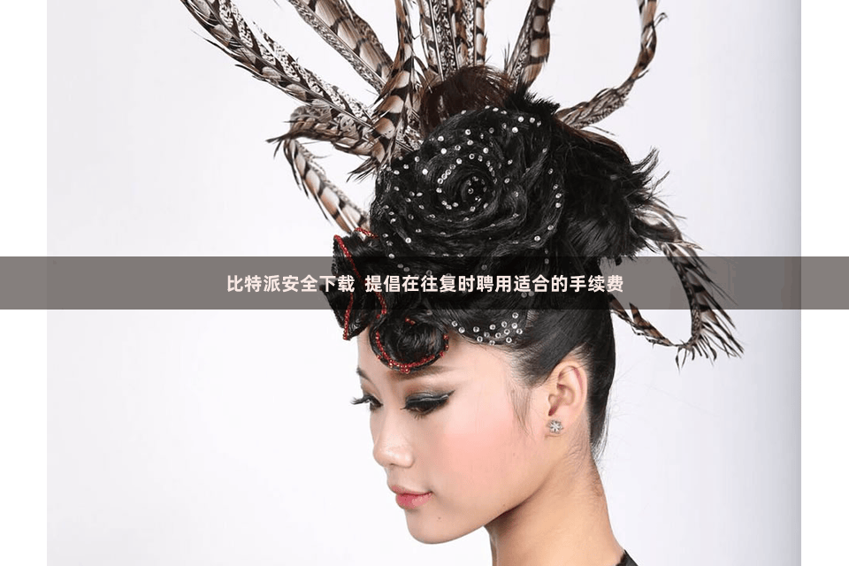 比特派安全下载  提倡在往复时聘用适合的手续费